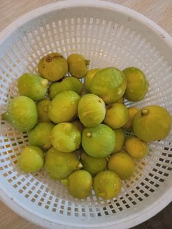 Honey Figs