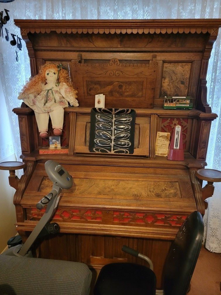 Organ Non Working Parts Only