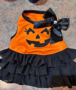 XXS/XS Puppy Pumpkin Dress. Halloween dog dress.