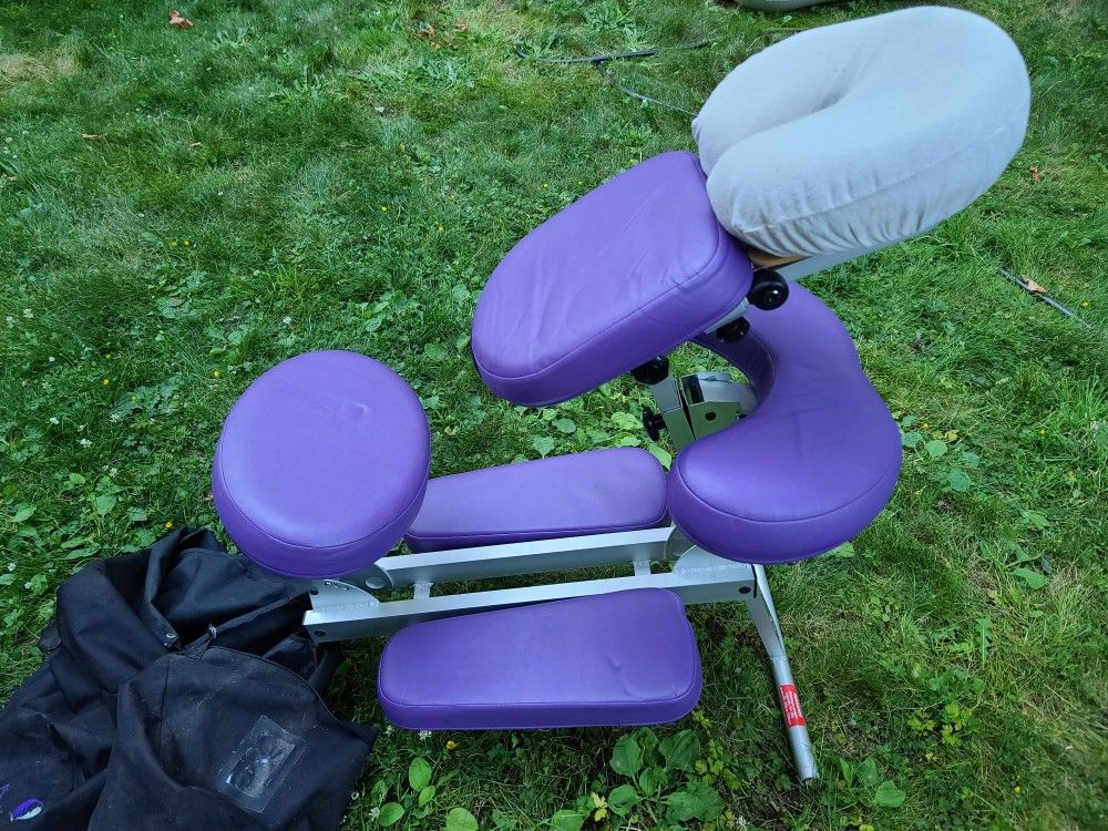 Earth Gear Travel Massage Chair