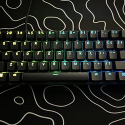 Huntsman Mini