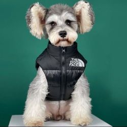 Dog Vest