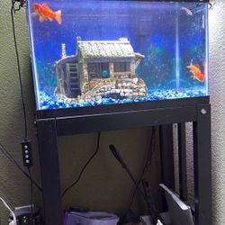 Fish Tank With Stand And Accessories