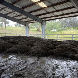 Free Rubber Fill For Horse Ranch Or Landscaping 