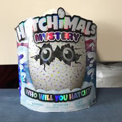 Hatchimals Mystery You Box