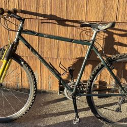 Vintage Bontrager Privateer Mountain Bike