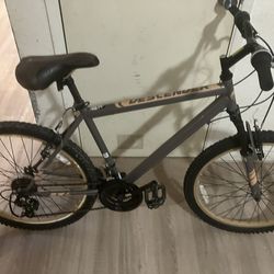 Descender Mountain Bike