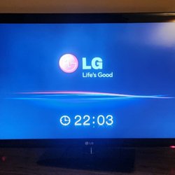 LG 48in TV