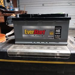 EverStart Platinum  H8 ($80.00)