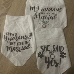 Dog & Cat Wedding Bandanas Engagement Announcement Set of 3