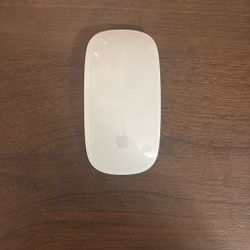 Apple Mouse (connects to imac or macbook)
