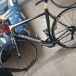 Carbon Fiber Bike