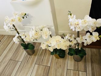 3 Decorative flower pots 🌹