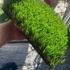 Turfsupplies