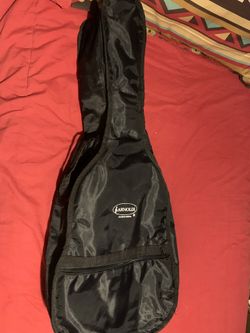 Guitar or Vihuela Case