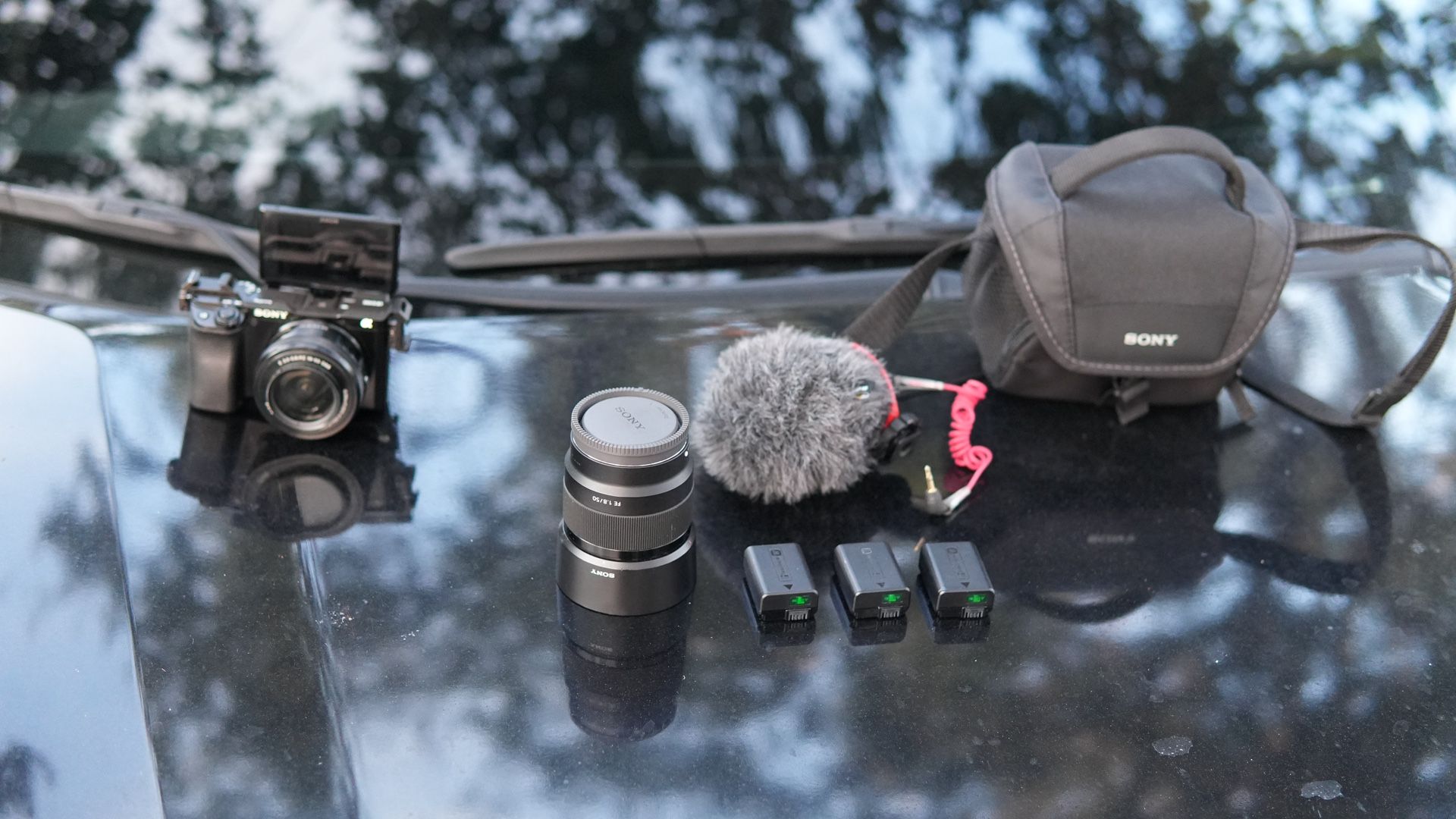 Sony A6100 And Sony50mm 1.8