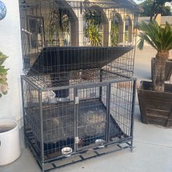 Dog Cages 