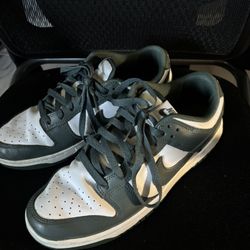 Nike Dunks Size 9.5