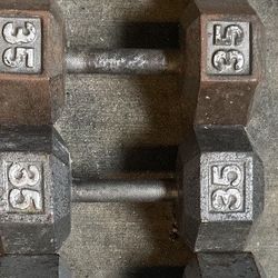 35lb Dumbbell Set  (location: San Pedro)