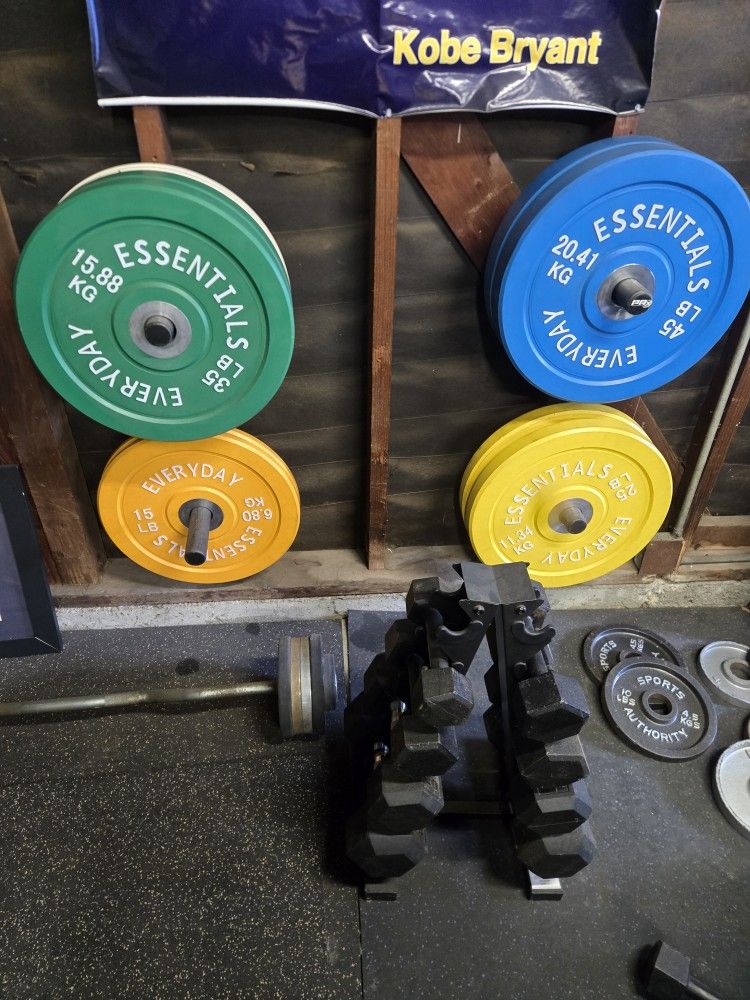 Bumper Plates Dumbbells