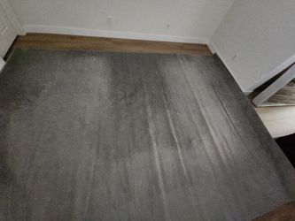 Indoor/Outdoor Area Rug 9' x 12' Used