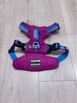 Arcadia Trail Dog Harness