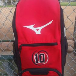 Baseball Bat Bag with hanging hook. Lots of room for equipment and bats ( SEE PICS). Ready for league and everyday use to puts equipment  ( Bats,Glove