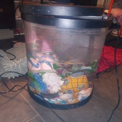 Fish Tank(No Fish)