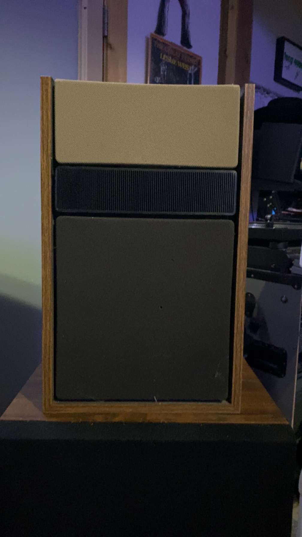 CUSTOM Bose Speaker Grill Set for Sale in Las Vegas, NV OfferUp