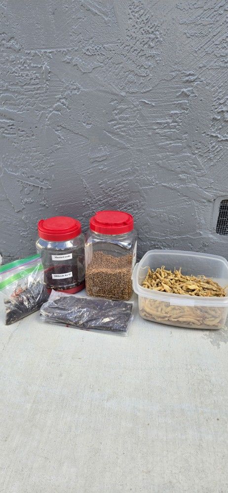 Organic Vegetables Seeds