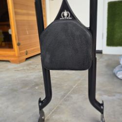 Harley Davidson Back Seat Rest