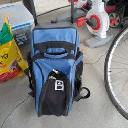 Brunswick Bowling Ball/Bag/Shoes