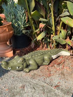Eli 🐊gator Statue Concrete