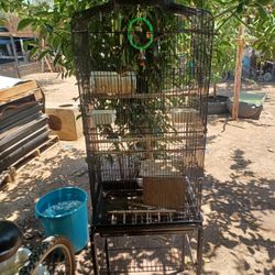 Bird Cage With Accessories
