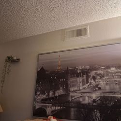 Framed picture