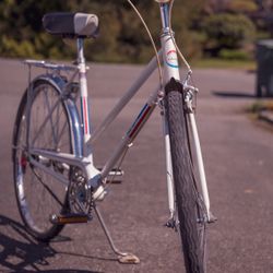 Sears & Roebuck Free Spirit