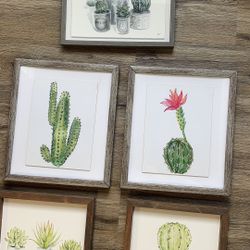 Set Of Cactus Frames 