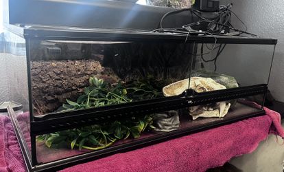 Terrarium Reptile 20 Gallon