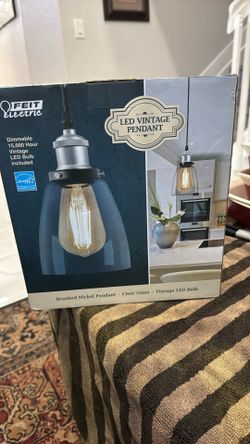 FEIT ELECTRIC VINTAGE LIGHT PENDANT