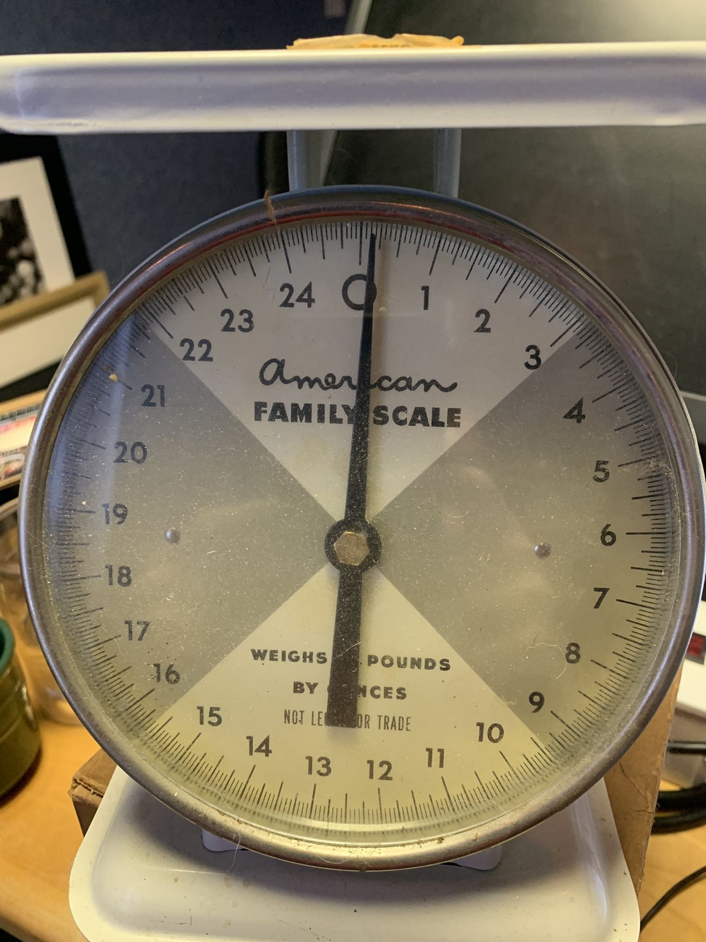 Vintage American Family Scale
