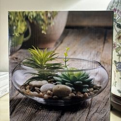Home Decoration Terrarium