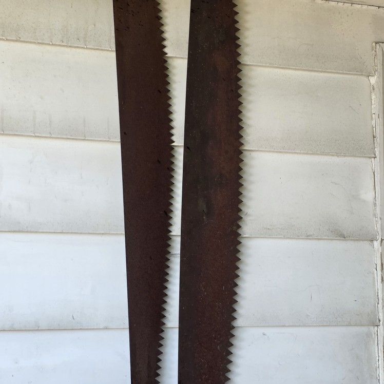Antique Logging Saws