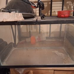 Reptile Tank, HEAT lamp, Water Bowl and adapter