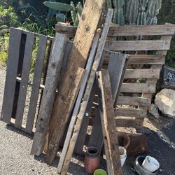 Free Items Available- First Come First Serve 