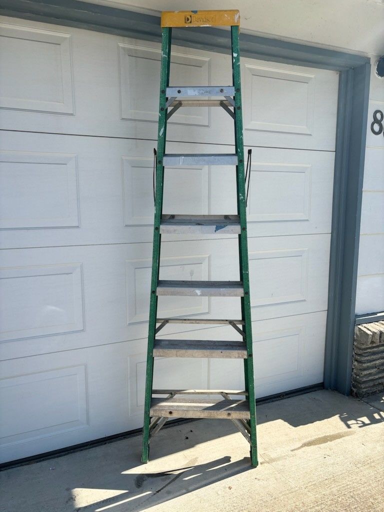 Davidson 6ft Ladder