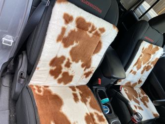 Steer Pattern Seat Cushions