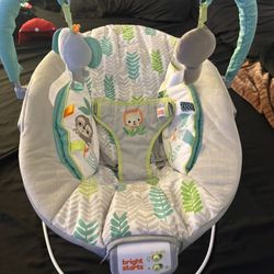 Baby Bouncer 