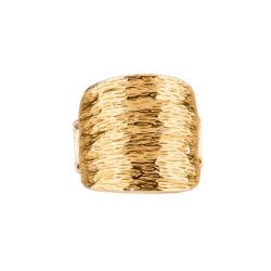 Paparazzi Gold Ring 