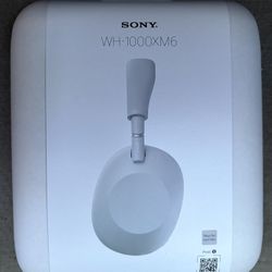 Sony Headphones  WH-100XM6