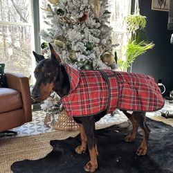 Christmas Dog Coat Size XXL